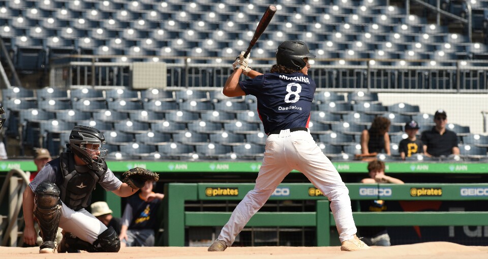 A batter is shown at bat from behind. He is wearing a Daedalus jersey and the number 8. The catcher is kneeling behind him and there are green fences and gray stands in the background.